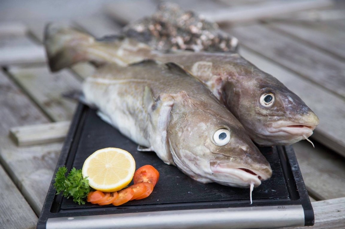 Toskaflak 4,0 kg