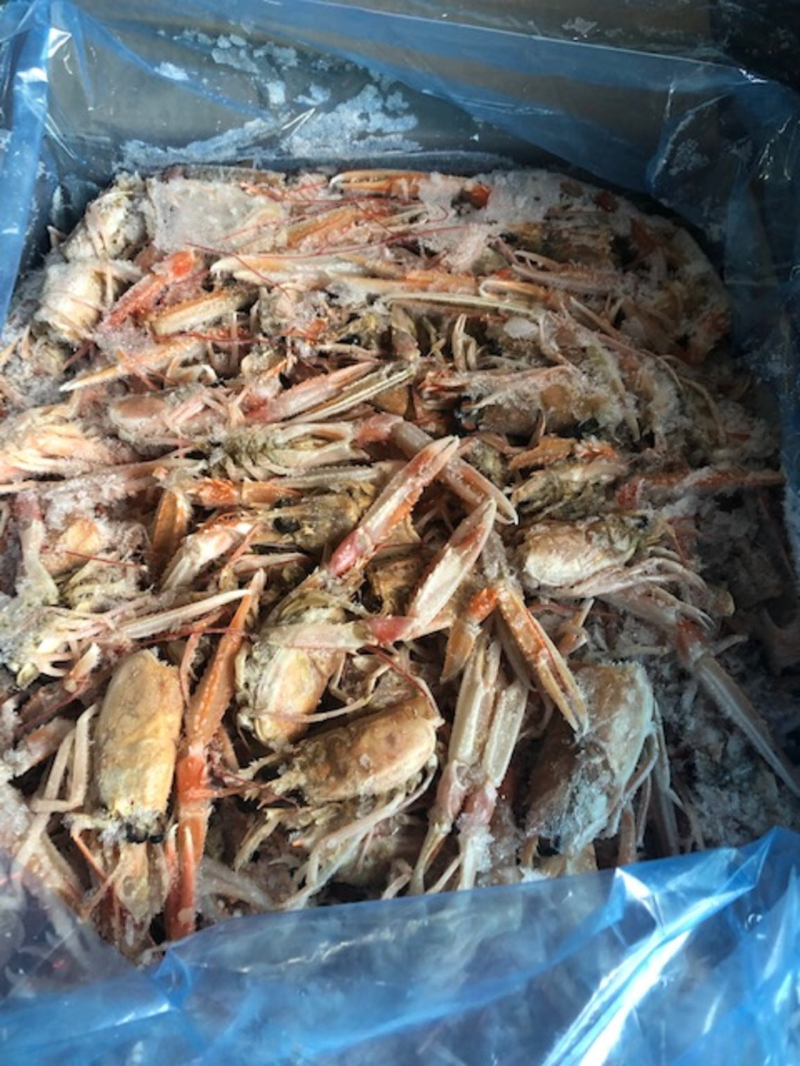 Hummara skrokkar 5,0 kg