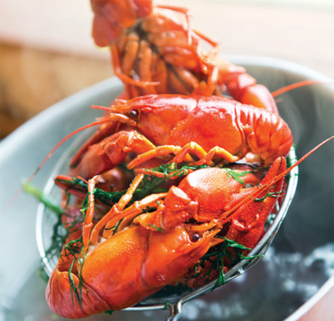 Heil flodkrebs 1,0 kg