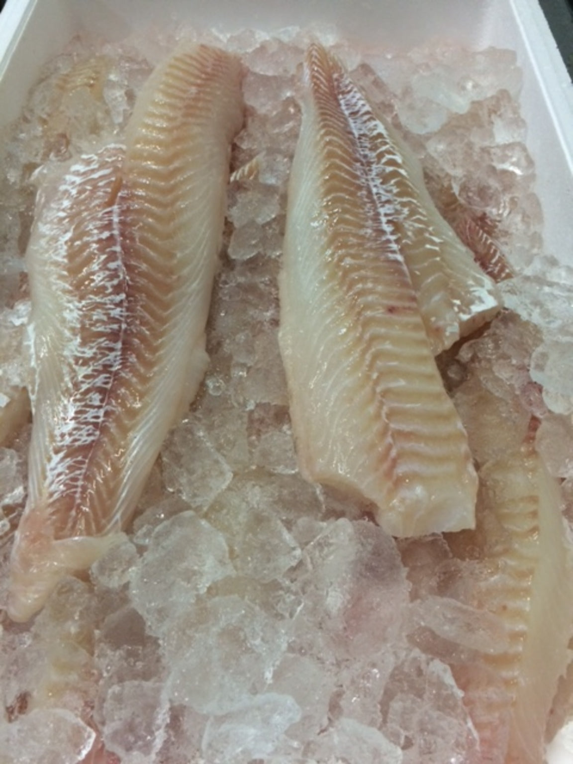 Toskaflak 4,0 kg