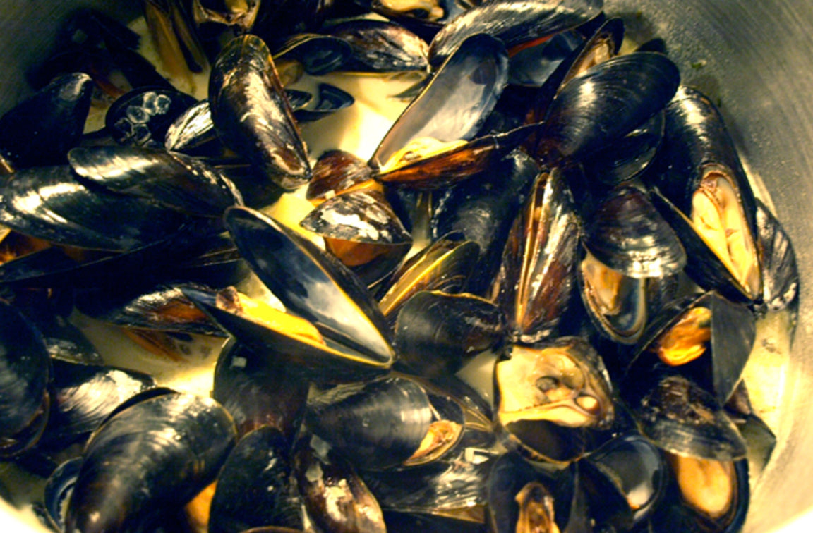 Kræklingur (Blå) 1,0 kg