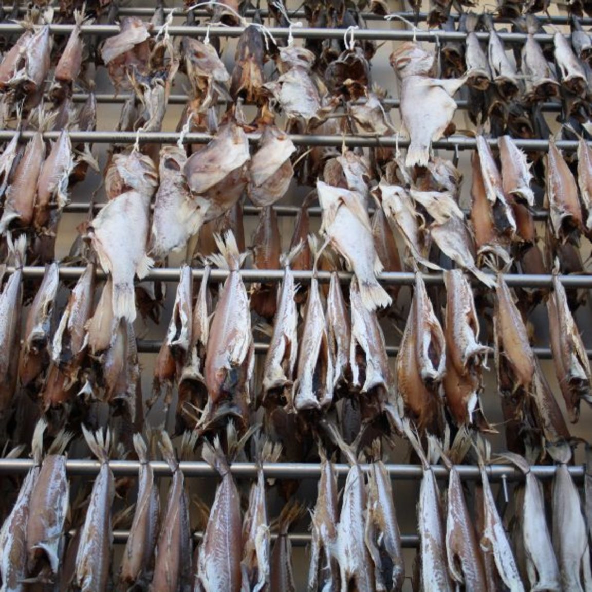 Ræstur Fiskur við skræðu 3,5 kg