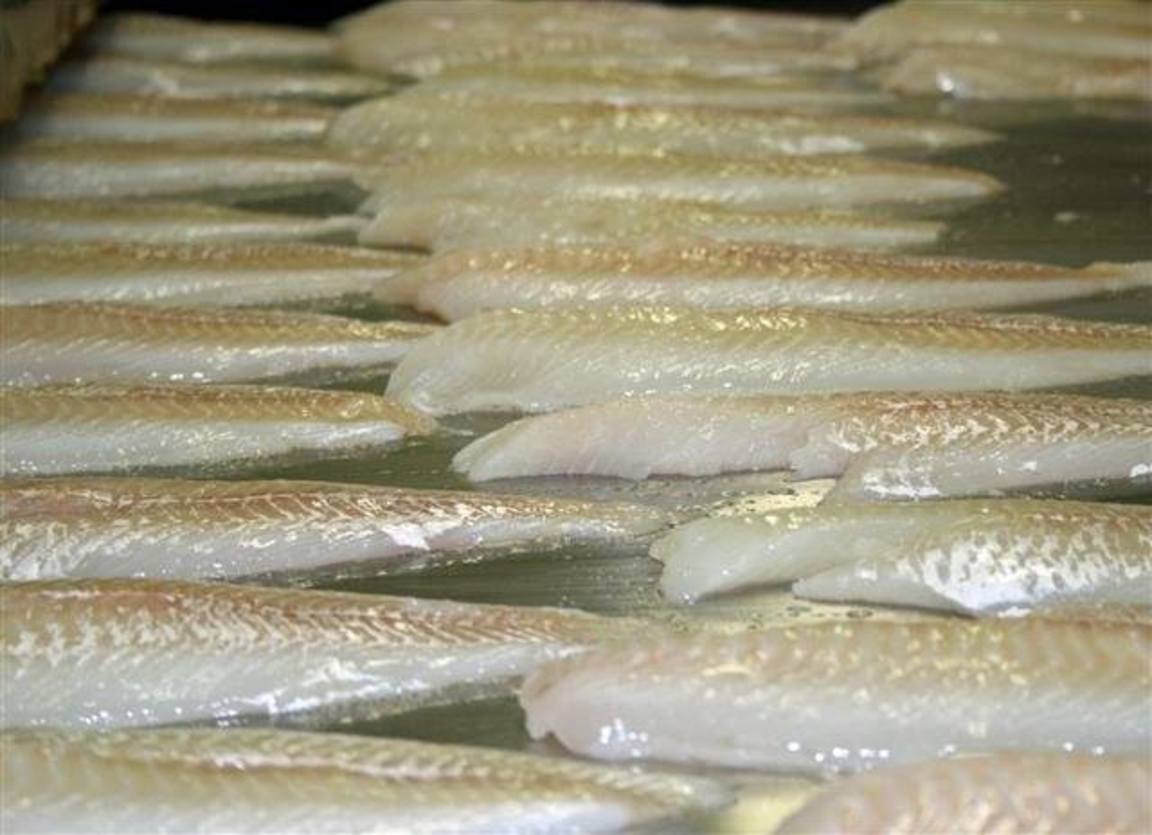 Hýsuportiónir 4,0 kg
