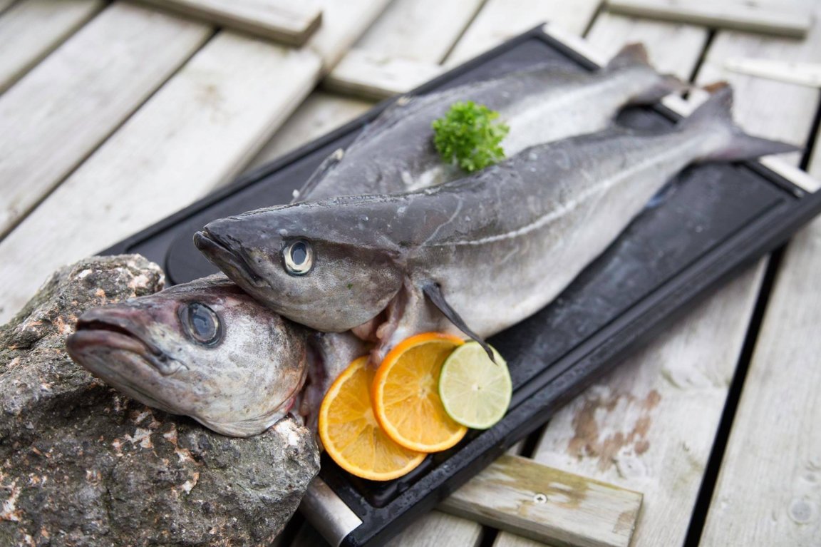 Upsaflak/portiónir 5,0 kg