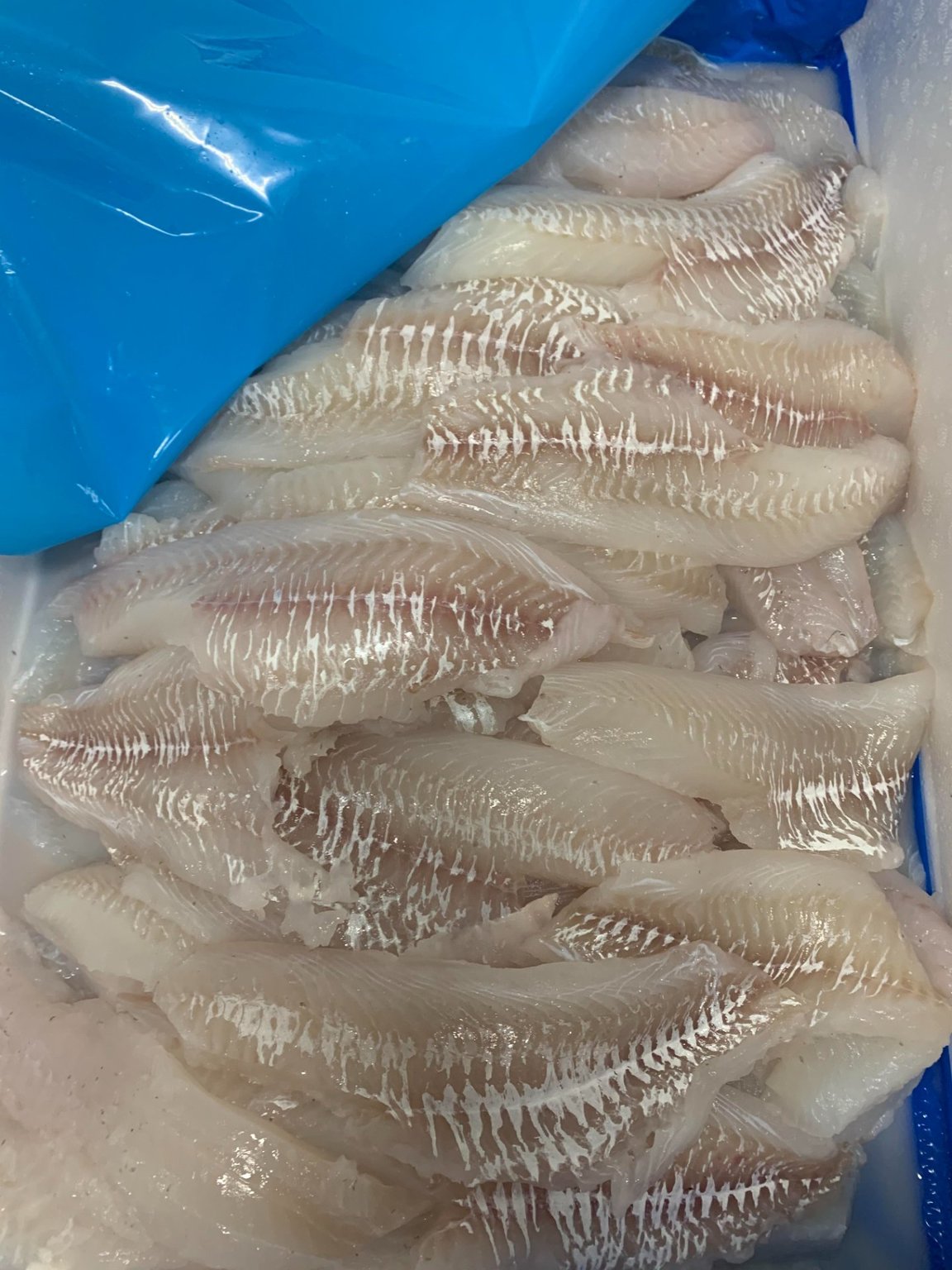 Toskaflak 4,0 kg