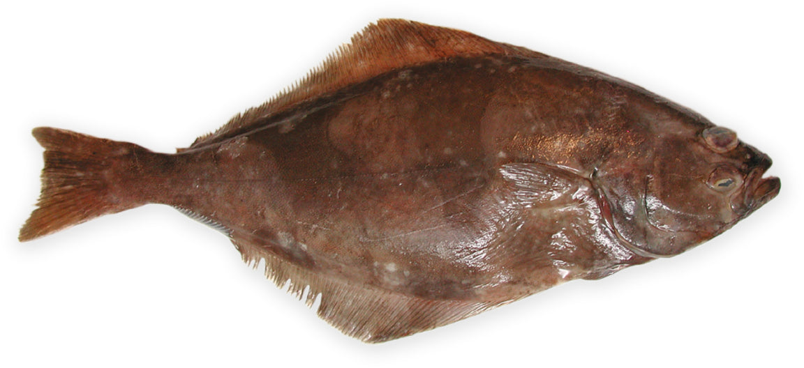 Kalvastykkir 2,5 kg