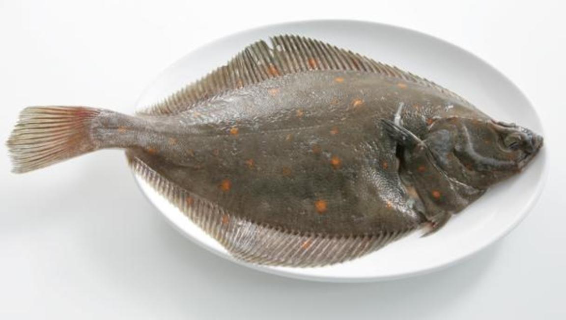 Reyðsprøkuflak 2,0 kg