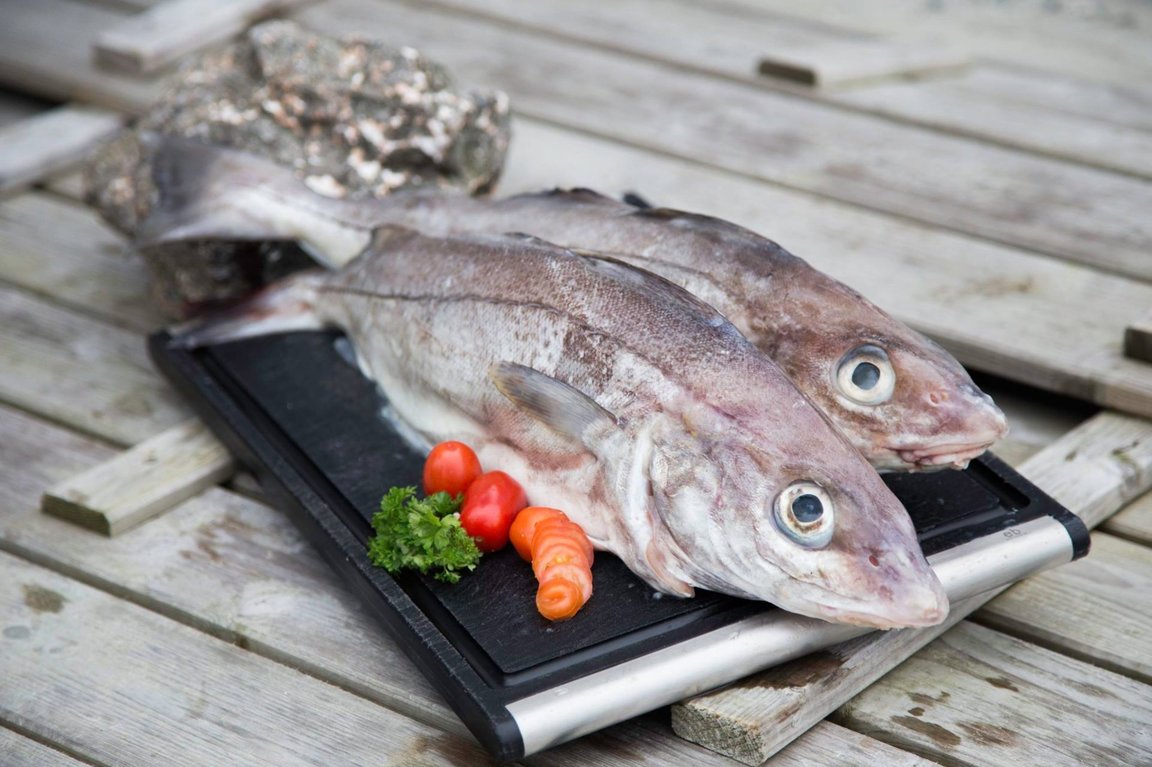 Hýsuportiónir 4,0 kg